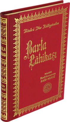 Büyük Boy Sırtı Deri Barla Lahikası