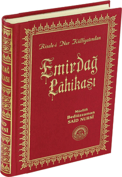 Büyük Boy Sırtı Deri Emirdağ Lahikası