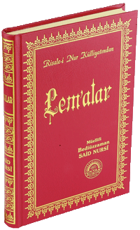 Büyük Boy Sırtı Deri Lemalar