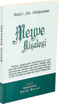 Cep Boy Meyve Risalesi