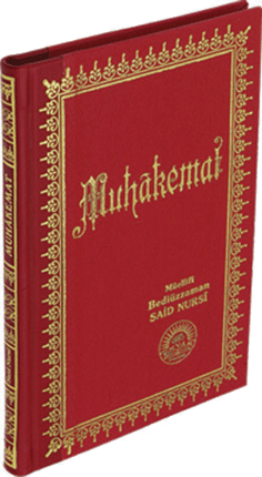 Orta Boy Sırtı Deri Muhakemat